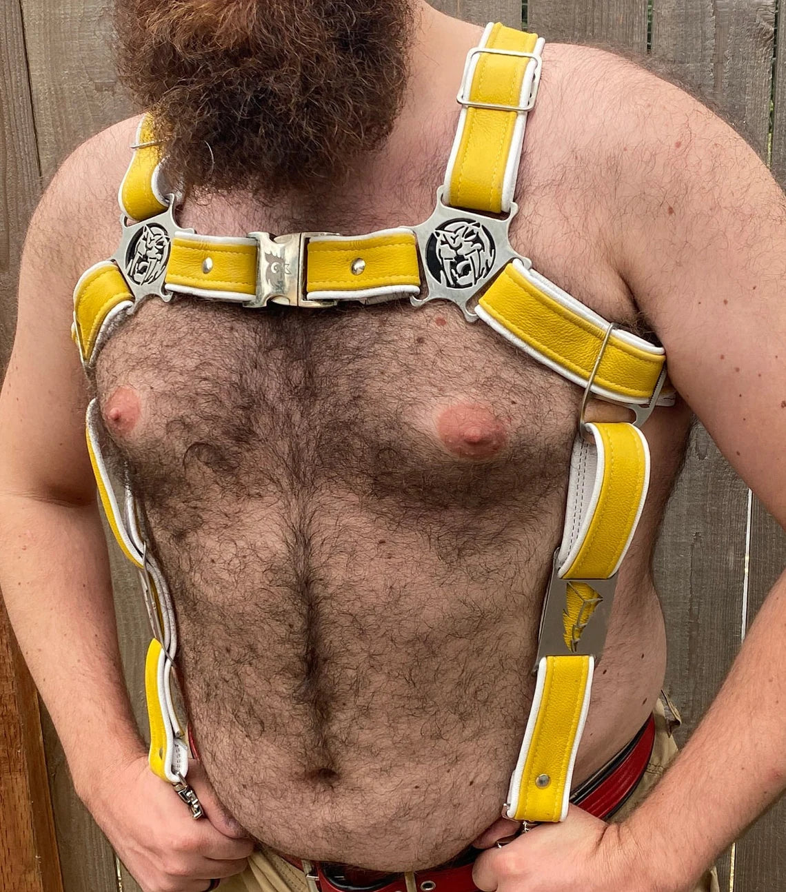 Yellow Rainbow Ranger Themed Deluxe Bulldog Harness