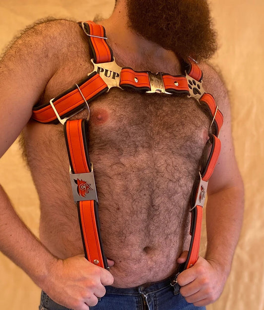 Puppy Play w/ Jock Themed Deluxe Bulldog Harness