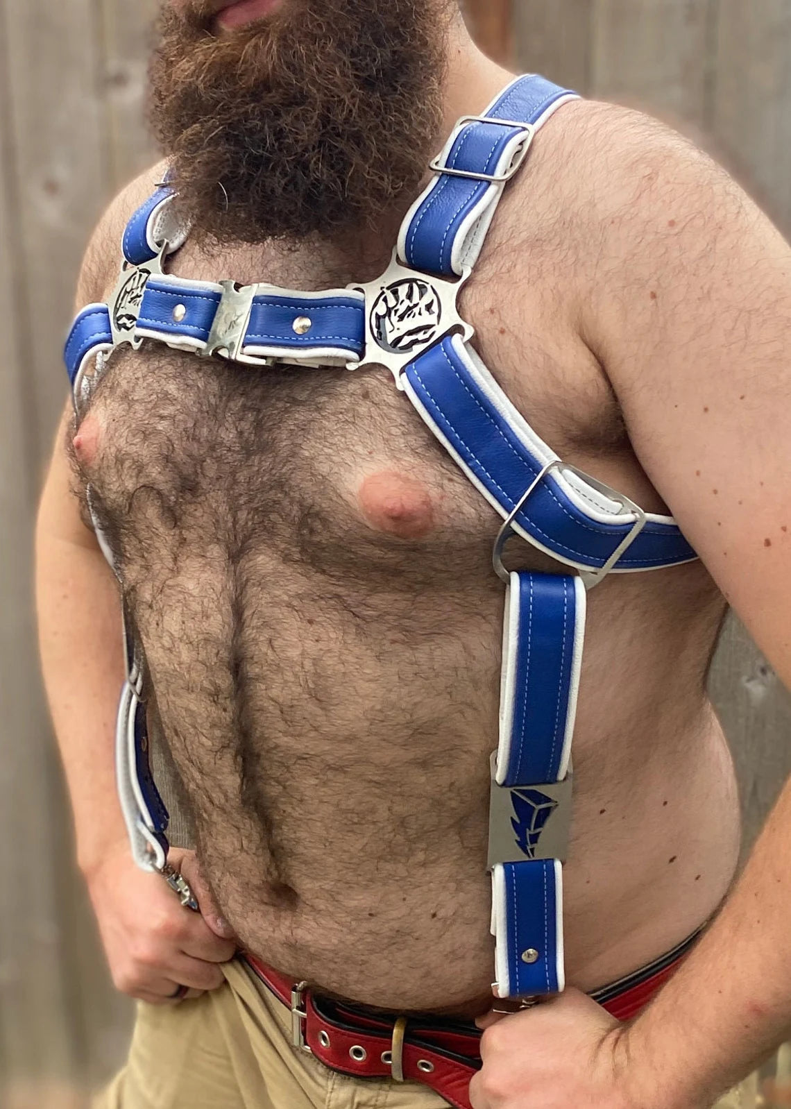 Blue Rainbow Ranger Themed Deluxe Bulldog Harness