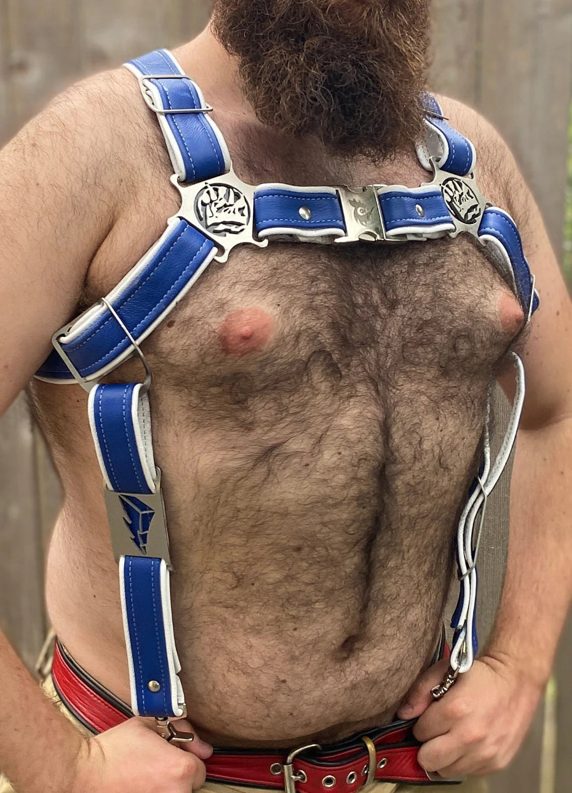 Blue Rainbow Ranger Themed Deluxe Bulldog Harness