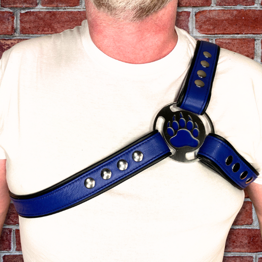 Bear Themed Asymmetrical Harness