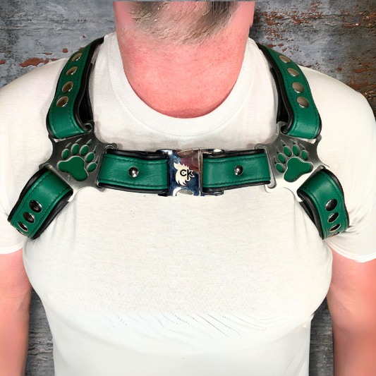 Bear Themed Bulldog Harness