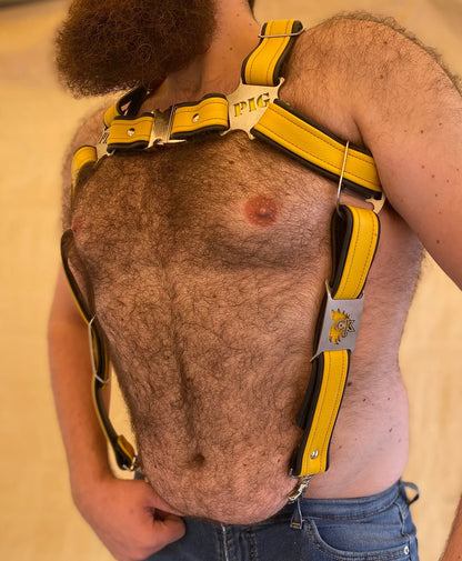 Watersports Themed Deluxe Bulldog Harness