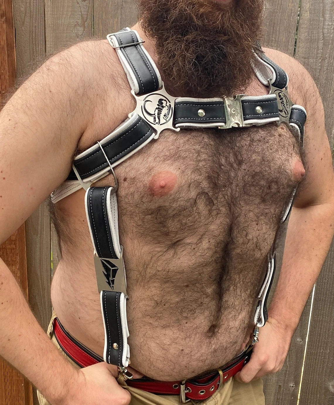 Black Ranbow Ranger Themed Deluxe Bulldog Harness