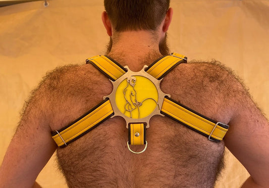 Watersports Themed Deluxe Bulldog Harness
