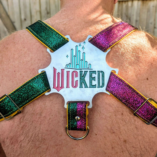 Person wearing a colorful harness with 'Wicked'