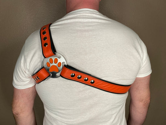 Puppy Themed Asymmetrical Harness